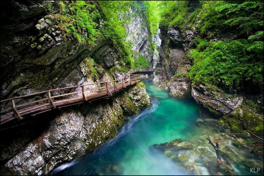 Hanna suite Ljubljana Exteriör bild